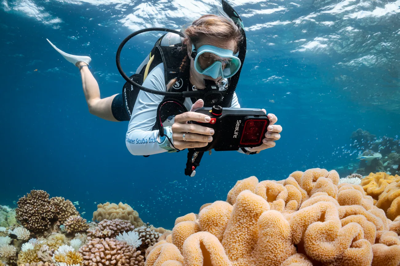 Búvár víz alatti fényképezés közben korallzátony felett – PADI Digital Underwater Photographer